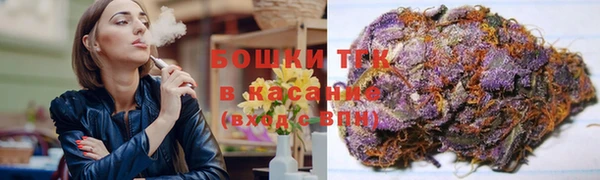прущие грибы Абаза