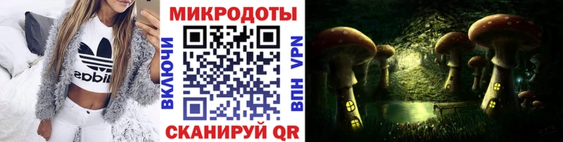 Галлюциногенные грибы ЛСД  Терек 